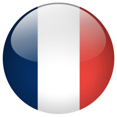 French button flag